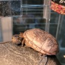 수완종합동물병원 이미지