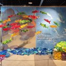 환경생태관 이미지