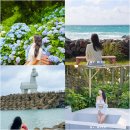 제주도 여행 준비물 리스트 필수 체크리스트 추천