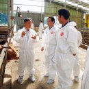 한우번식축산 이미지