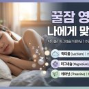 수면 영양제 비교 및 추천 : 락티움 vs 테아닌 vs 멜라토닌 vs 마그네슘 추천제품