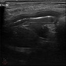 탄방메디칼 이미지