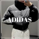 팔이합성 | 아디다스 아디컬러 크롭 합성 다운 퍼퍼 XS M 사이즈 비교 CROPPED PUFF착용 후기