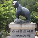6월 23일~24일 네째주 청옥 두타산 무박산행1 이미지