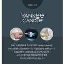 체리 | 양키캔들추천(클린코튼,블랙체리)후기❤️