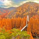 회남정 | 대전 단풍 명소 TOP3, 장태산이 특별한 이유