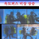 옥토퍼스