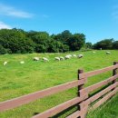 안내목장2 이미지