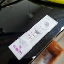 코로나19 자가진단키트 음성 및 신속항원검사 양성 후기