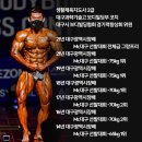 비바짐 이미지