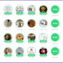 (주)샐러드볼크리에이티브 | 12월 일상-3 : 드디어 블챌 끝!! 끝!!!