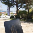 흑염소다하연