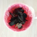 호남반점 이미지