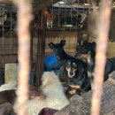 이플동물병원 이미지