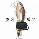 일월일지 이미지