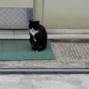 형지농장 이미지