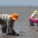 문항어촌체험마을 이미지