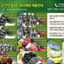 떡예찬 이미지