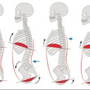 바른자세 요가 이미지