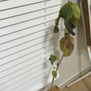 구강축산 | 1sang_22