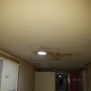 서련코아빌딩 이미지