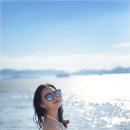 슈가브리움2 이미지