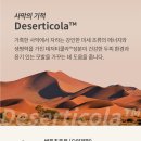 티는헤어 이미지