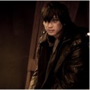 카멜리아 이미지