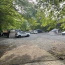 꽃이야 나무야 파주 이미지