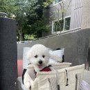 양양비치펜션 | [강원도 양양] 양양 멍비치 가까운 애견펜션 글램독 610호 후기 (내돈내산)