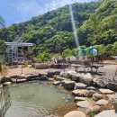 하늘숲 오토캠핑장 이미지