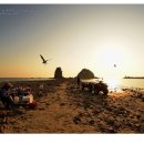 안면도 무박2일 대중교통/도보트래킹 전투 출사기 이미지