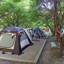 뱀사골자동차야영장 이미지