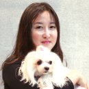 인터뷰