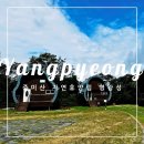 ⛰️ 추석 중미산 자연휴양림 명왕성 후기