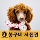 봉구네사진관 - 화성시 삼성1로 160 | 봉구네사진관