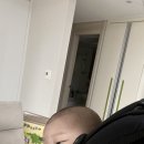 메리튠 얼티밋 메쉬 아기띠 (어부바 특화 아기띠 후기)