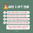 테리스짐