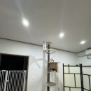 라마지샤 이미지