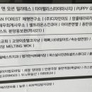 마인드앤모션
