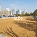 야자클럽 이미지