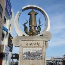 최대감유통