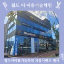 월드이·미용기술학원 티스토리