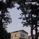 산드리아 이미지