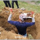 묘지공사닷컴묘지공사.com 네이버블로그