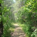 바람불이펜션 이미지