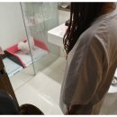 스터디독스쿨 이미지