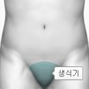 작은