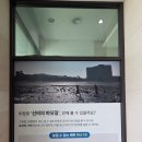 27 | 충남 보령 무창포 숙소 추천 비체팰리스 오션뷰 객실 내돈내산 후기
