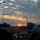 일출추어탕 이미지